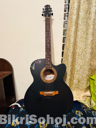 Signature guitar topaz 265